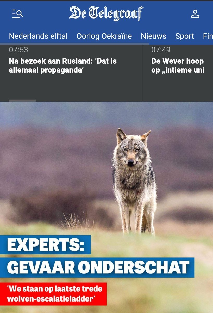 De wolven-escalatieladder. 🙃 Gekkenwerk, <a href="/Denkjewel/">Denkjewel</a>