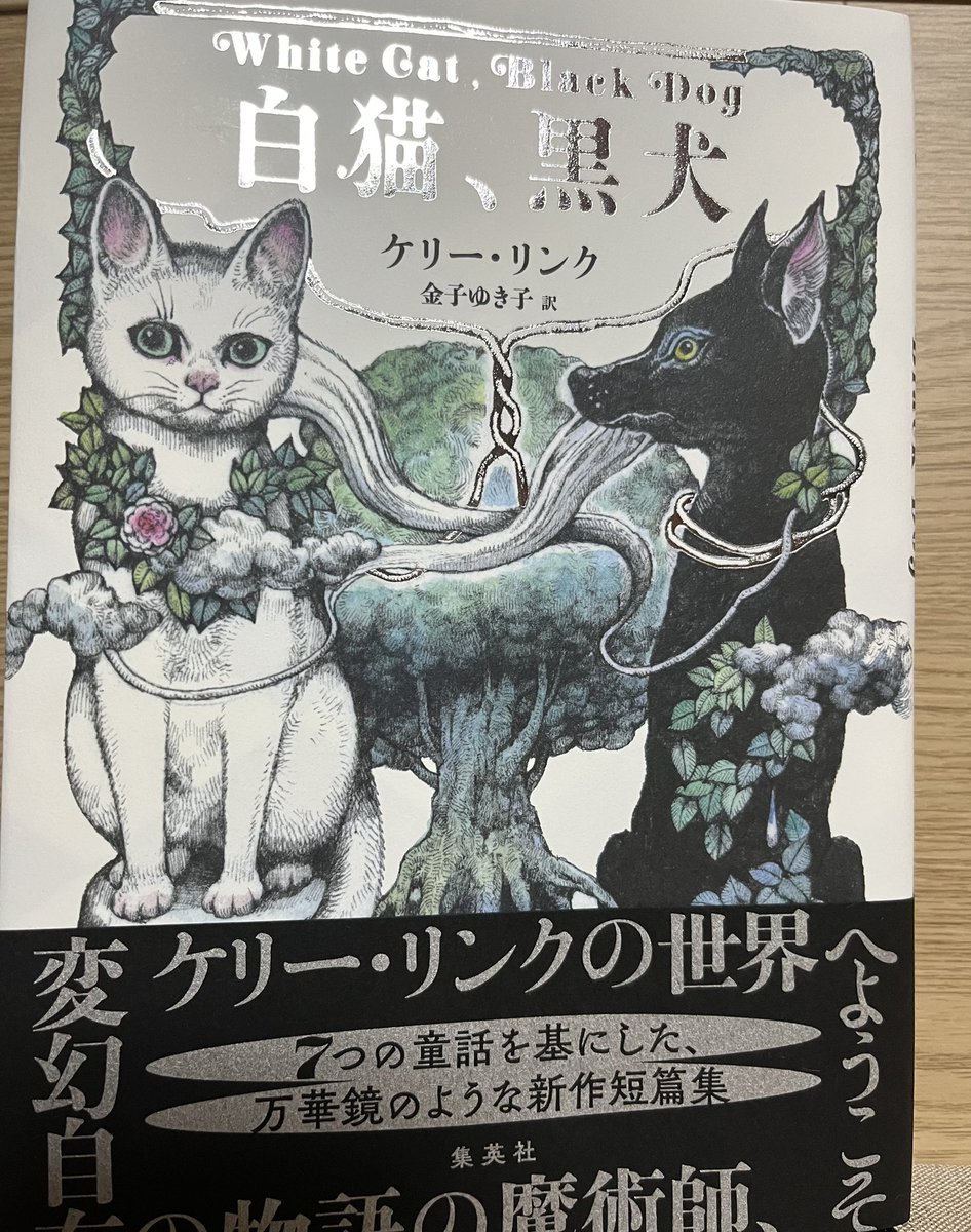 白猫、黒犬　ケリー・リンク
おとぎ話をモチーフにした幻想的短編集。
悪い夢を次々に見ているようなぶっ飛んだ表現も多いので自分がどこまで理解できているかわからないのですが、「地下のプリンス・ハット」「白い道」「貴婦人と狐」が好きです。
#読了