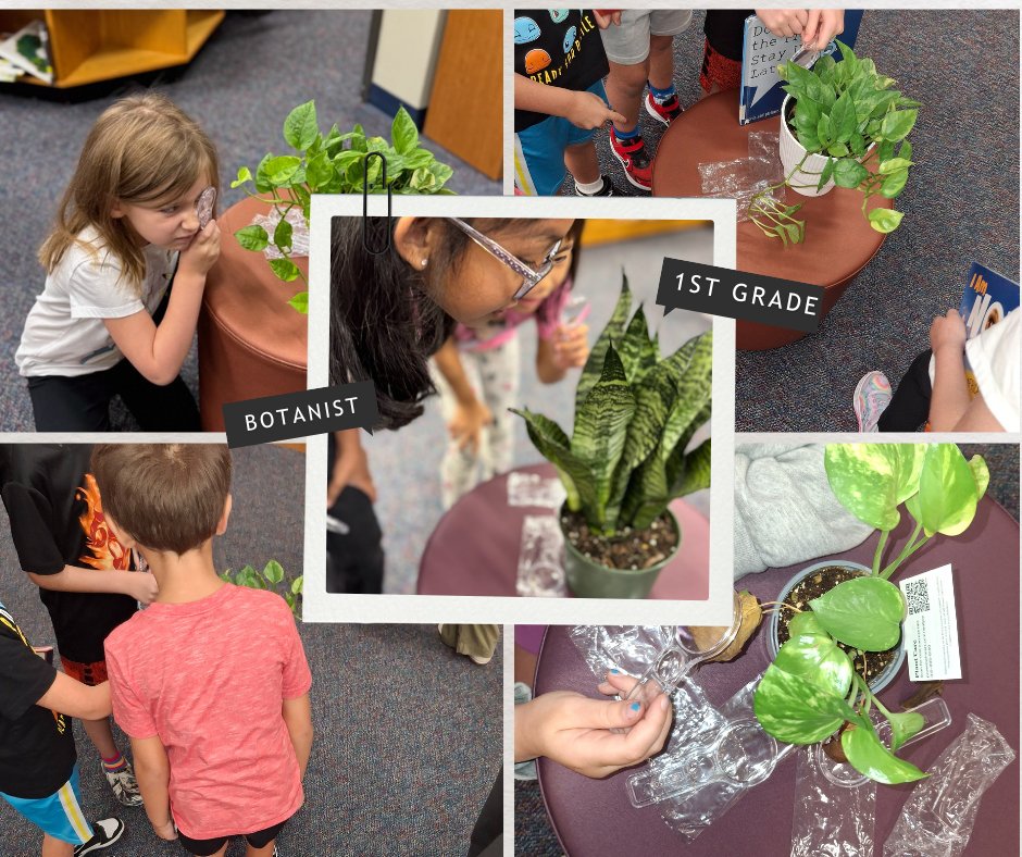 1st Grade Botanist are Blooming in the Learning Commons #TheWolfordWay
