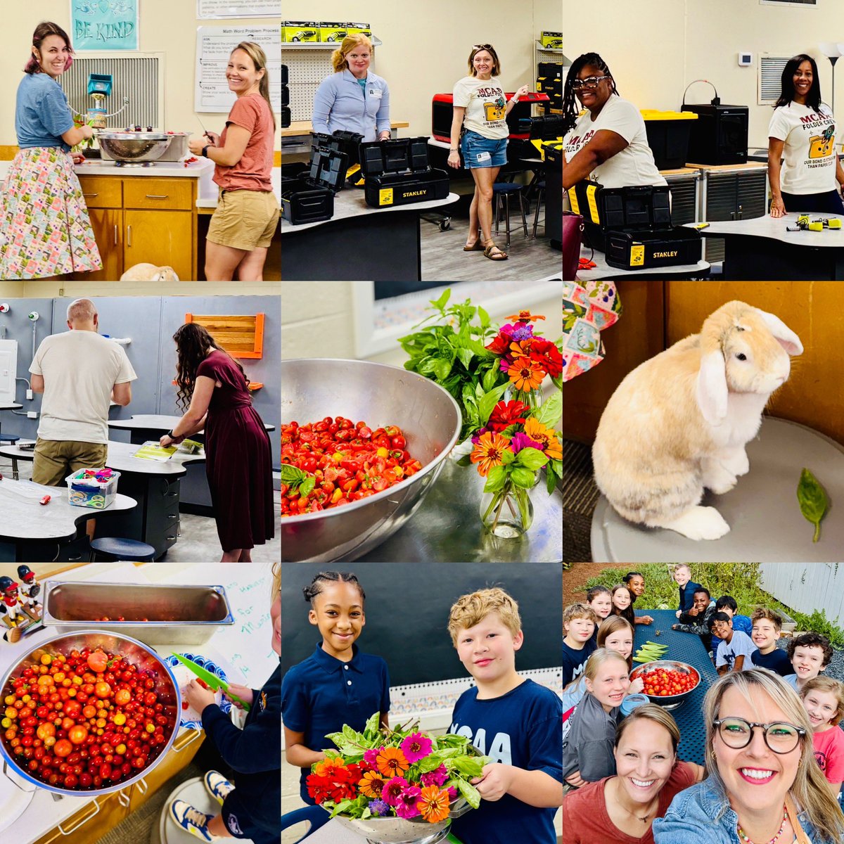 Stella Kilpatrick tweet media