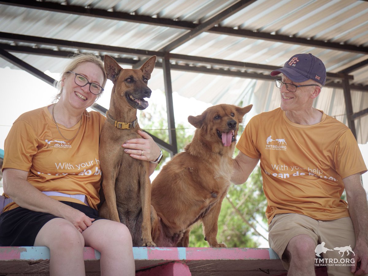 The Man That Rescues Dogs (TMTRD) is a non-profit foundation in Thailand caring for over 1,200 dogs every day. Around 840 live in our sanctuary and another 450 are fed daily on the streets. We provide food, medical care, shelter, and rehabilitation for abandoned, sick, and