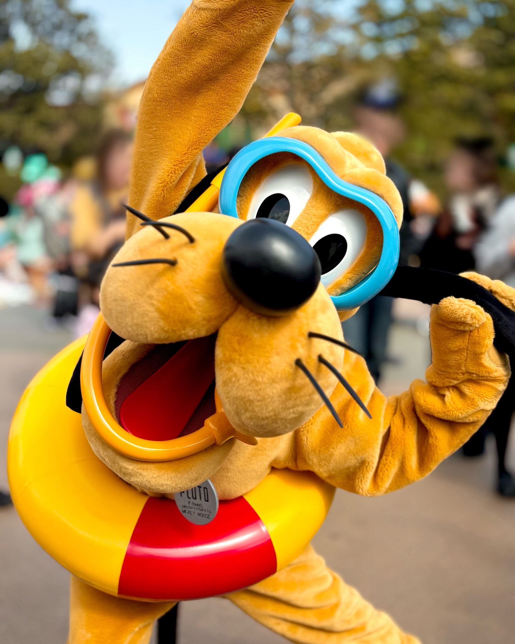 Disney プルート Pluto 祭りサイン 世界188枚限定 DISNEY ディズニー PLUTO プルート 世界188枚限定 - メルカリ