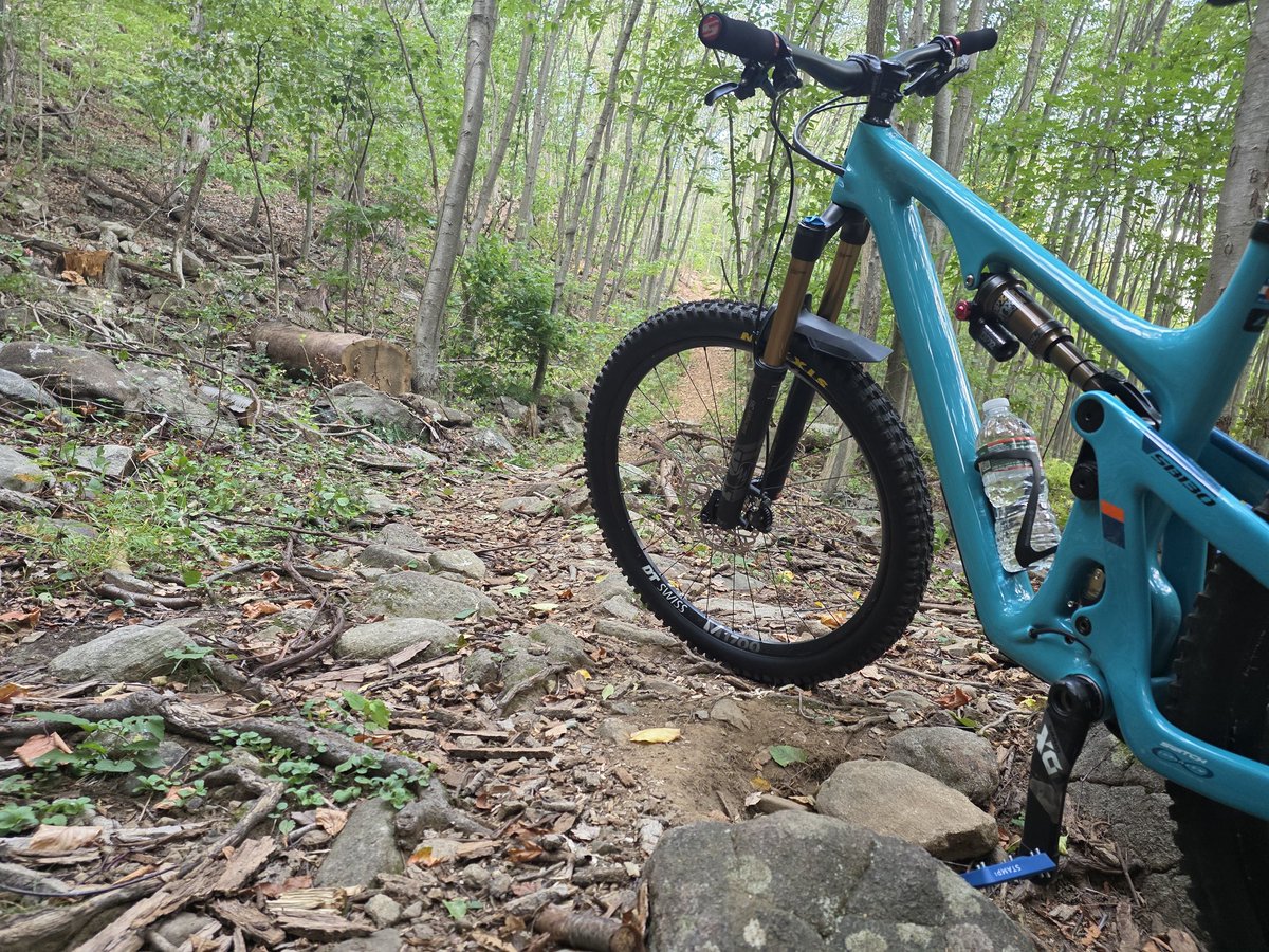 solepsizm tweet media