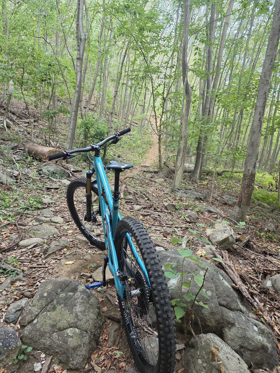 solepsizm tweet media