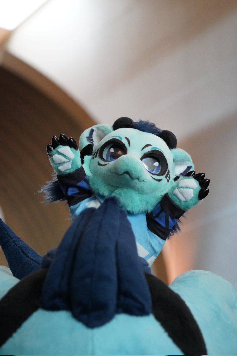 SharkCX_'s tweet photo. :D https://t.co/L4zK5wLOSw