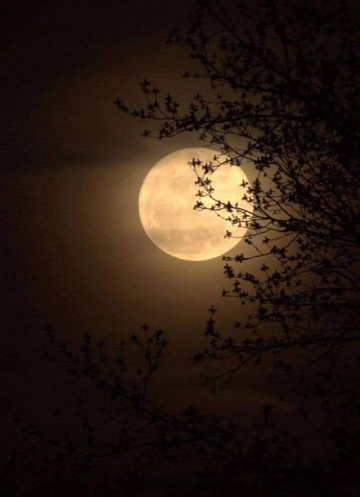 ﴿ رَبِّ اجْعَلْنِي مُقِيمَ الصَّلَاةِ وَمِنْ ذُرِّيَّتِي ۚ رَبَّنَا وَتَقَبَّلْ دُعَاءِ } 
#صلاه_الفجر