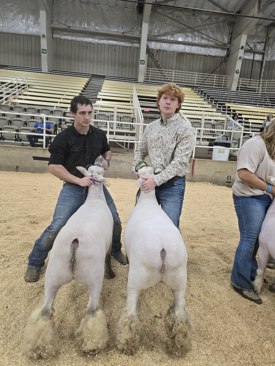 CovFFA's tweet photo. Day 2 of the Delta Fair did not disappoint for the Level 5 Covington FFA Sheep Squad.   The guys had a big time today at Memphis.  Special thanks to Mrs Ann Johnson and her crew for a phenomenal week

#woocrew #endlesspossibilities #itsallforthekids  #stayinit #doyourbest https://t.co/Cmuh7Z0o4o