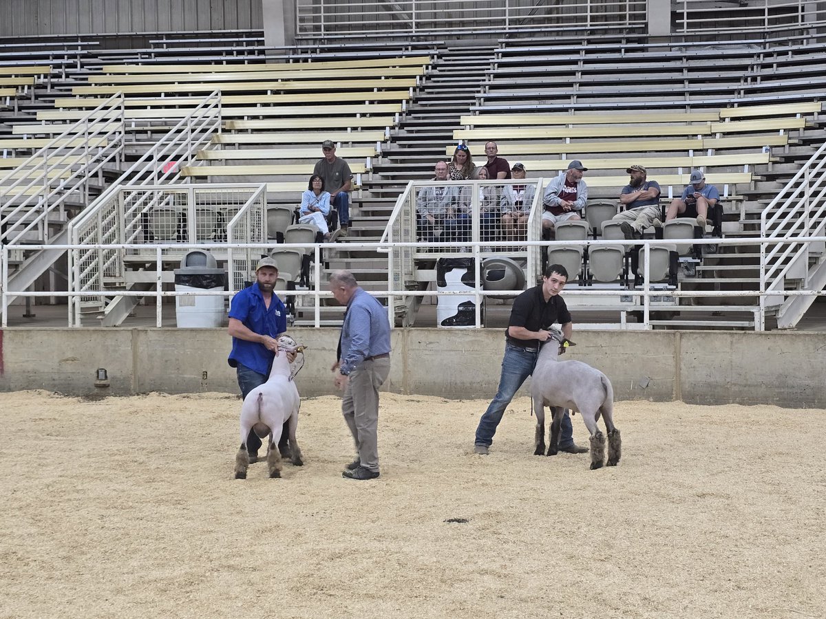 CovFFA's tweet photo. Day 2 of the Delta Fair did not disappoint for the Level 5 Covington FFA Sheep Squad.   The guys had a big time today at Memphis.  Special thanks to Mrs Ann Johnson and her crew for a phenomenal week

#woocrew #endlesspossibilities #itsallforthekids  #stayinit #doyourbest https://t.co/Cmuh7Z0o4o