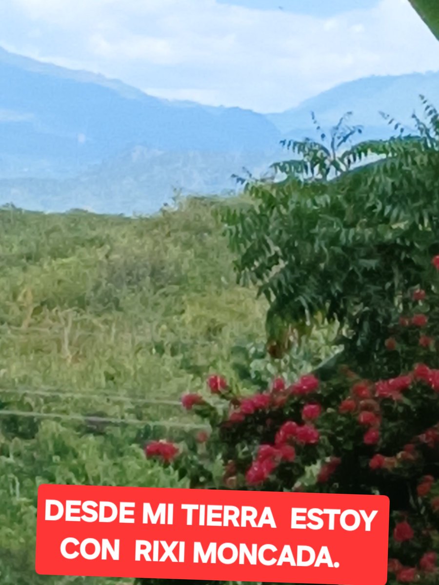 Ratifico....Rixi la mejor. Por ello tiene mi apoyo.