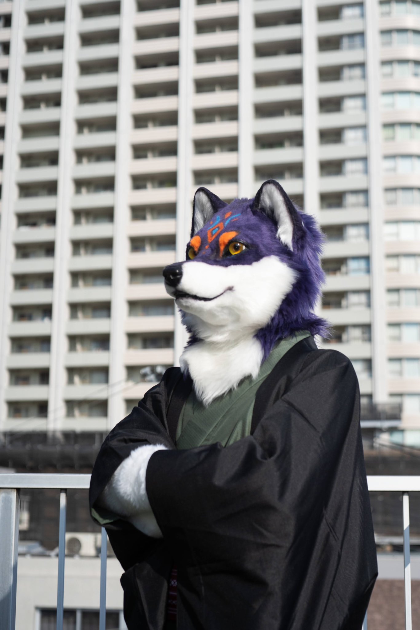 猫*屋様 inn’s 音 wolfie 星を追いかける小さなオオカミ 猫*屋様 inn's 音 wolfie 星を追いかける小さなオオカミ - メルカリ