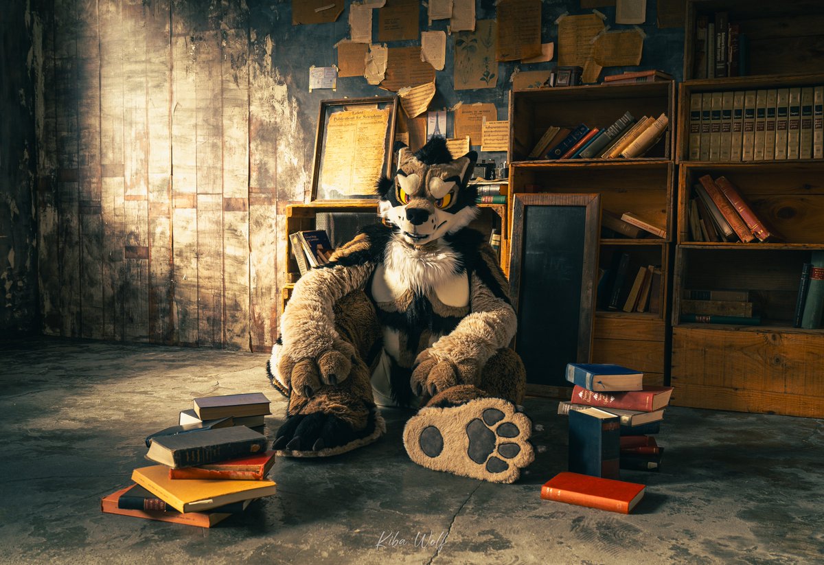 📖🐺
#FursuitFriday
#わくわく陸ランド
📸 by @ KibaRinWolf