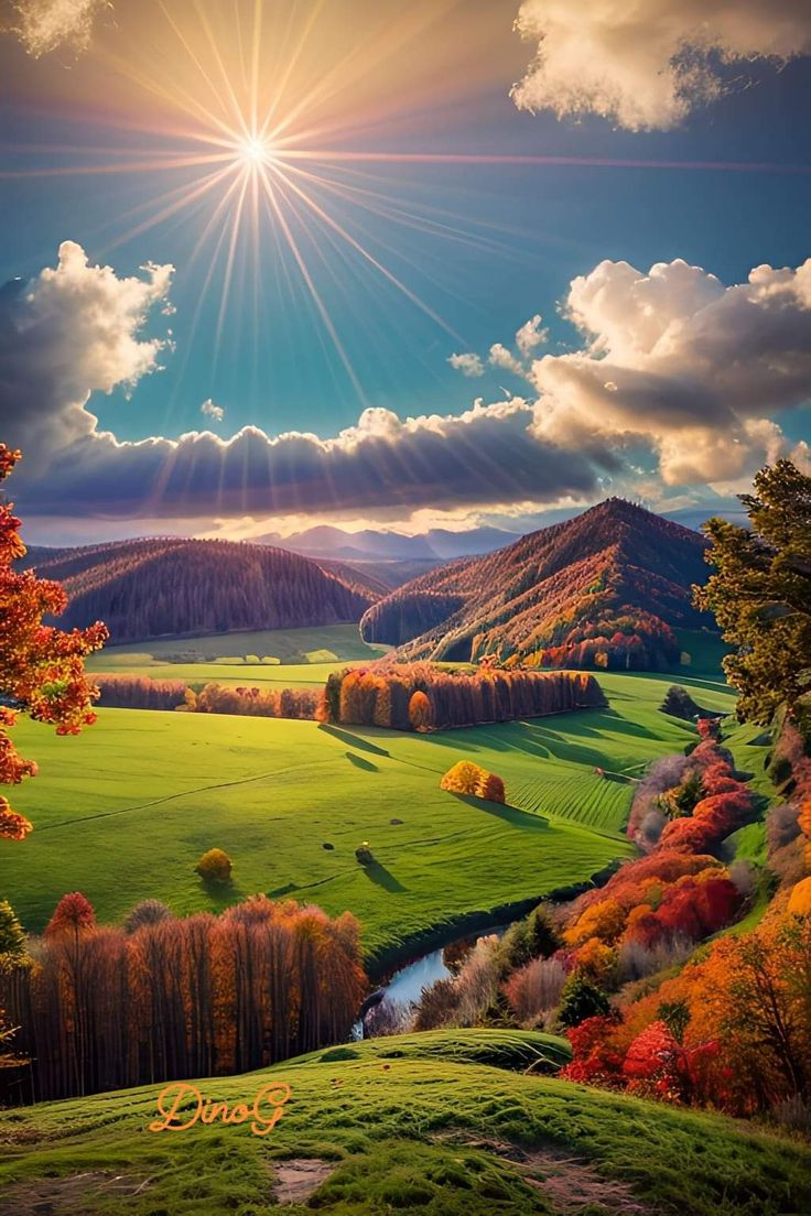 raducu_nicoleta's tweet photo. 🍂☀️🍂Good morning 🍂☀️🍂 https://t.co/EwhnIAFO7H