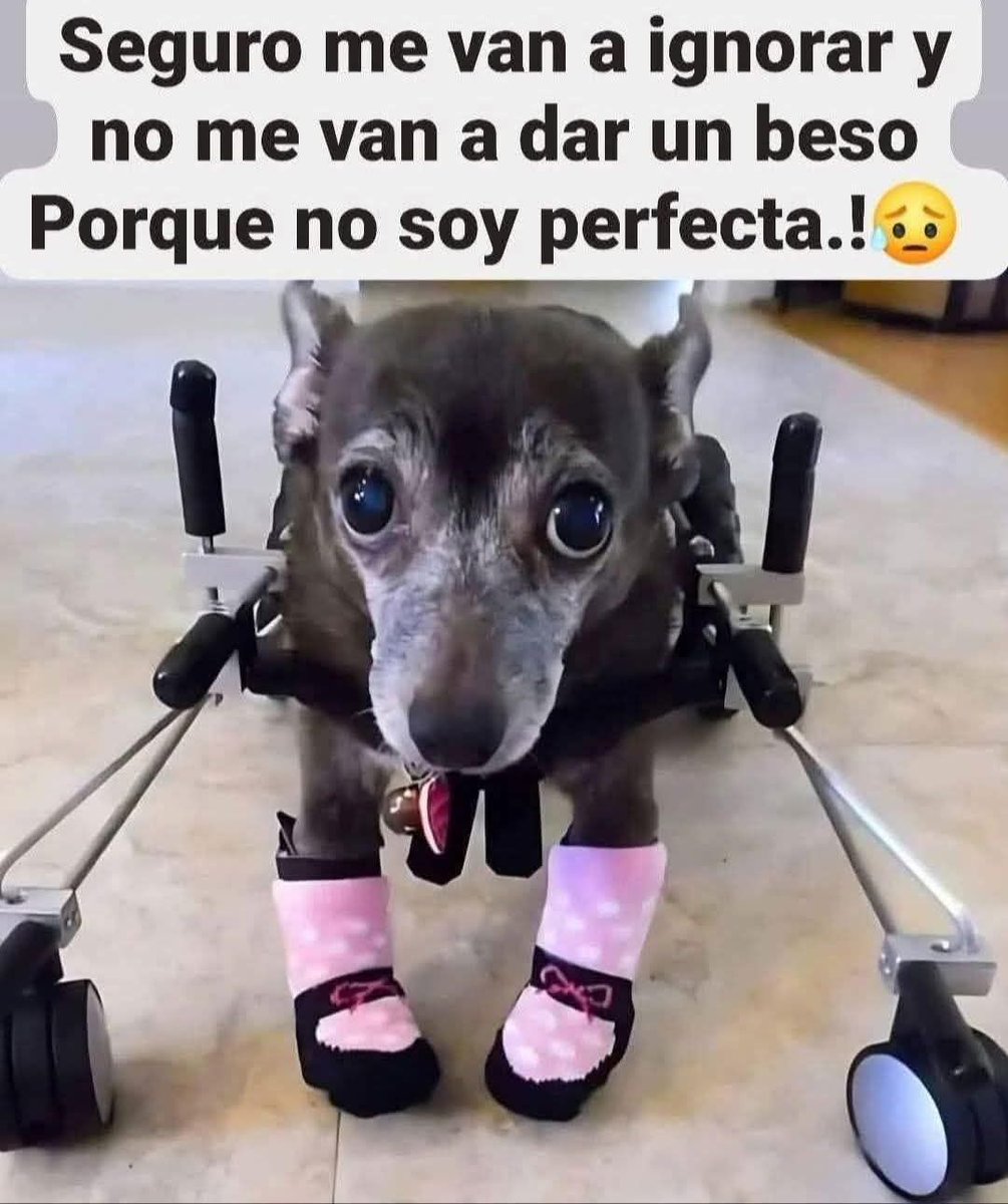 Pa Cas🤜🤛 (@pablocasx1) on Twitter photo 