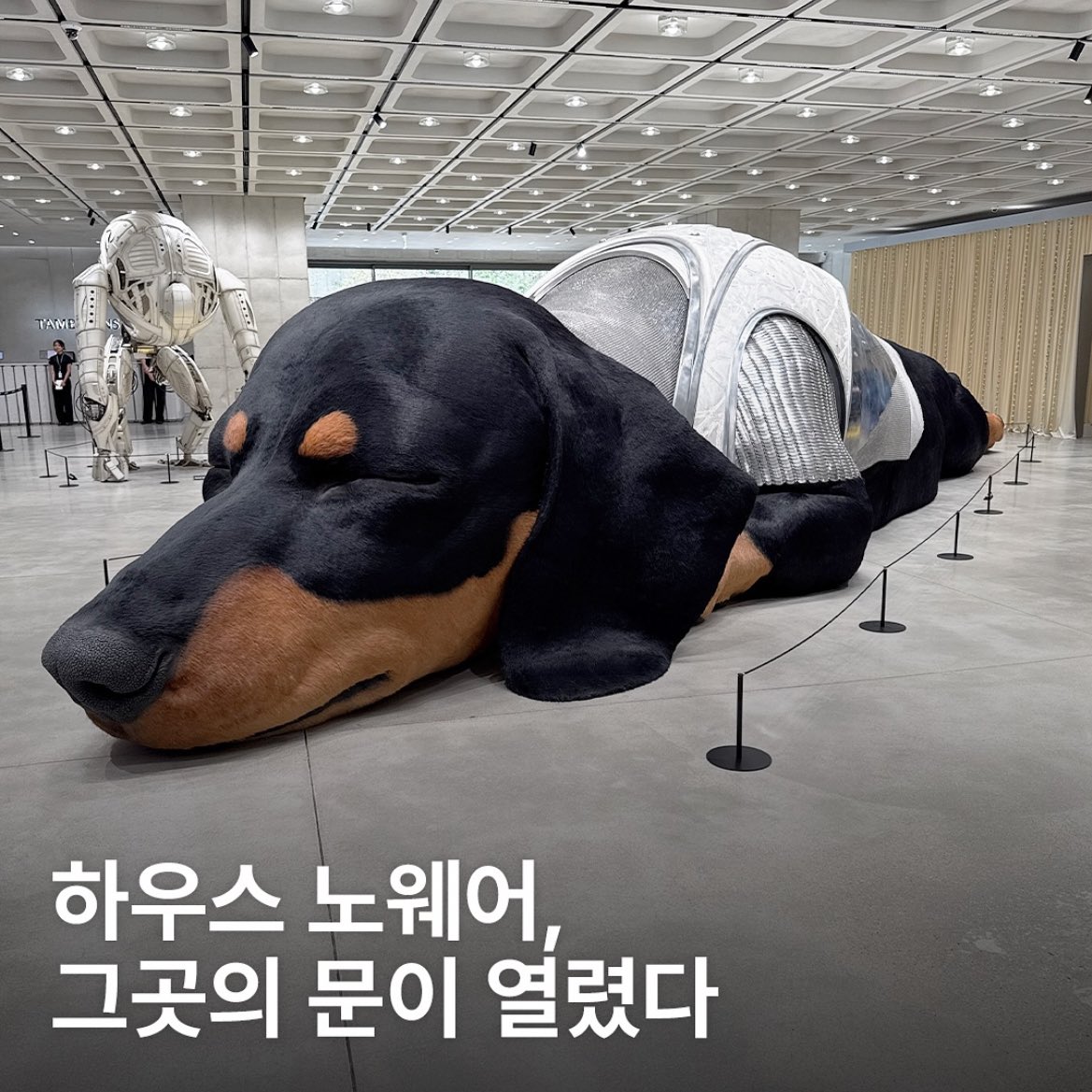 welcome to hyunhyun heaven tweet media