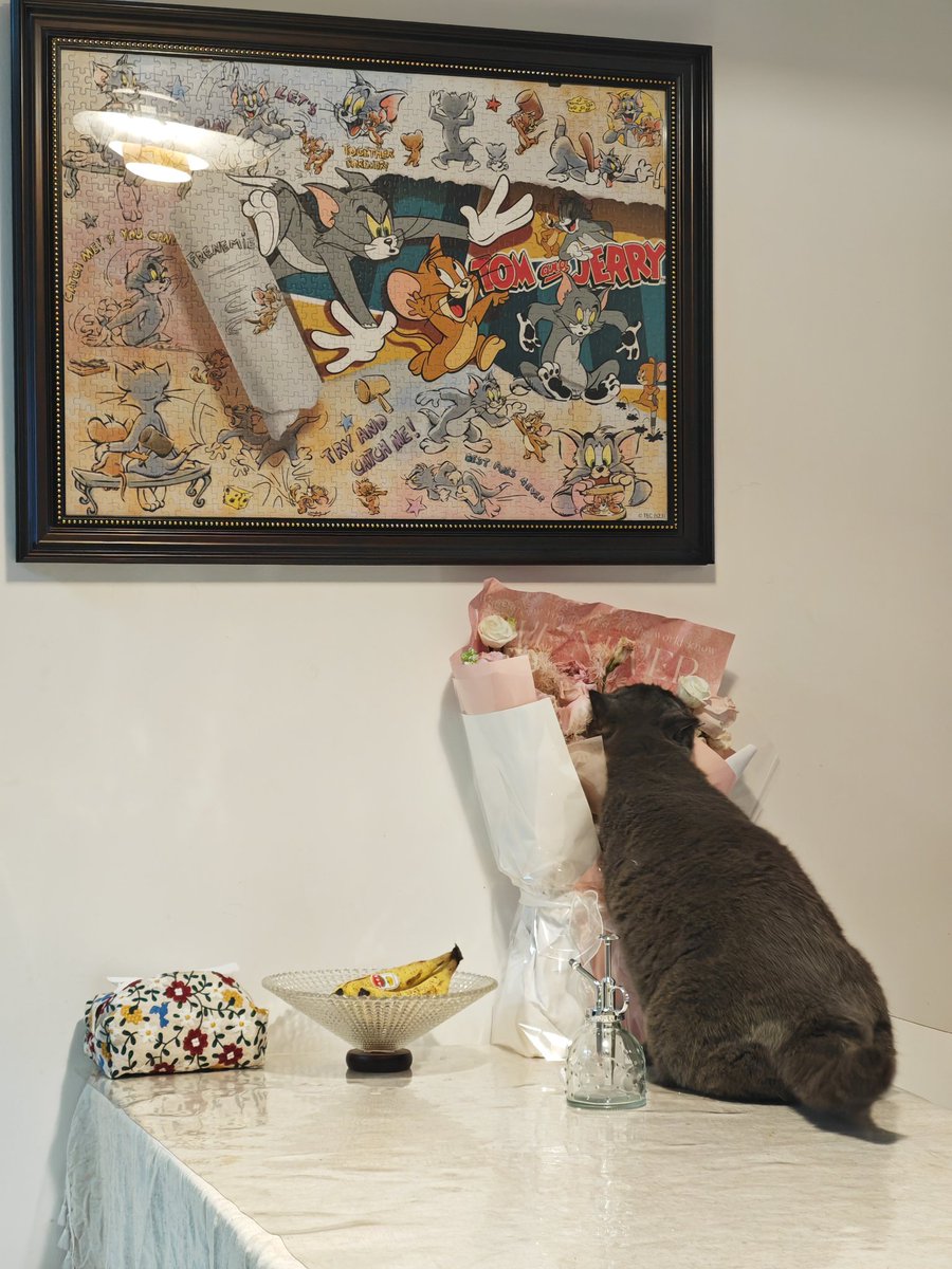 哈哈哈哈哈哈哈哈