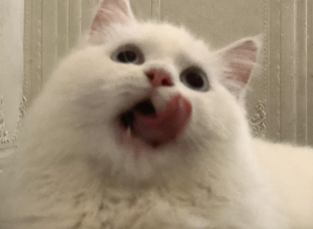 A picture of me and my wna son.