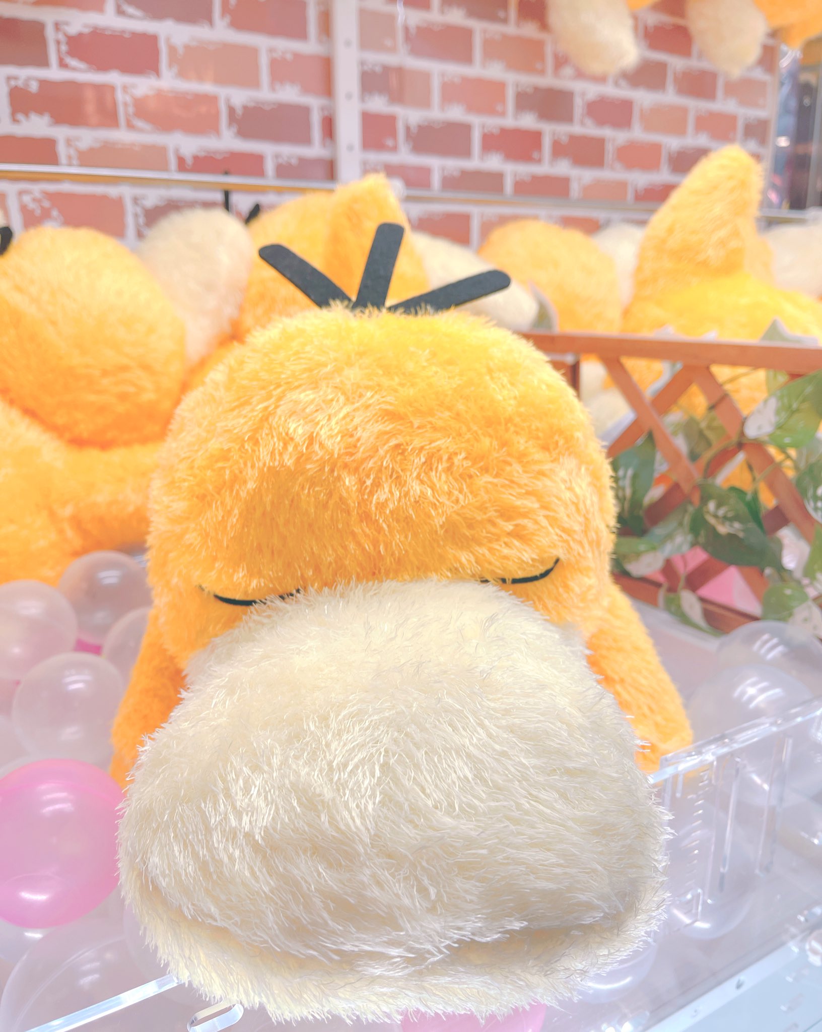 コダック めちゃもふぐっとくつろぎタイム ぬいぐるみ プライズ ゲーム