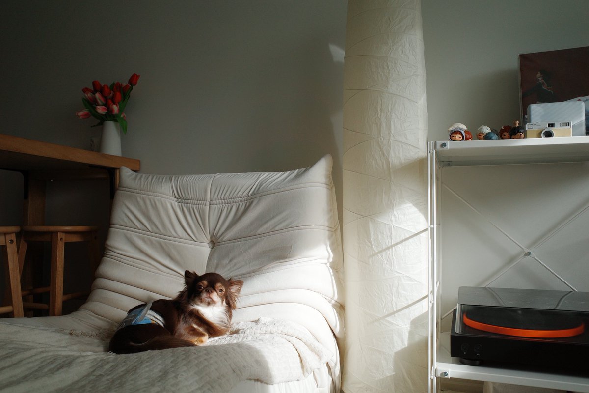 krisrey ♡₊ tweet media