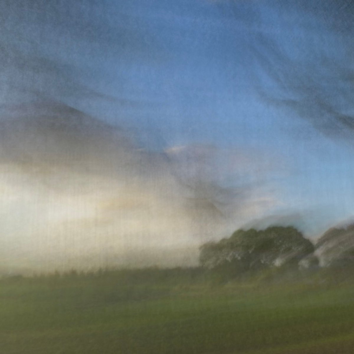 dontdrownmusic's tweet photo. [warm sunsets, soft grass, and you]

it's out... everywhere... take a listen... yearn... 

https://t.co/7cIy50es2a

#dreampop #shoegaze #alternative https://t.co/S3EiXcmnHN