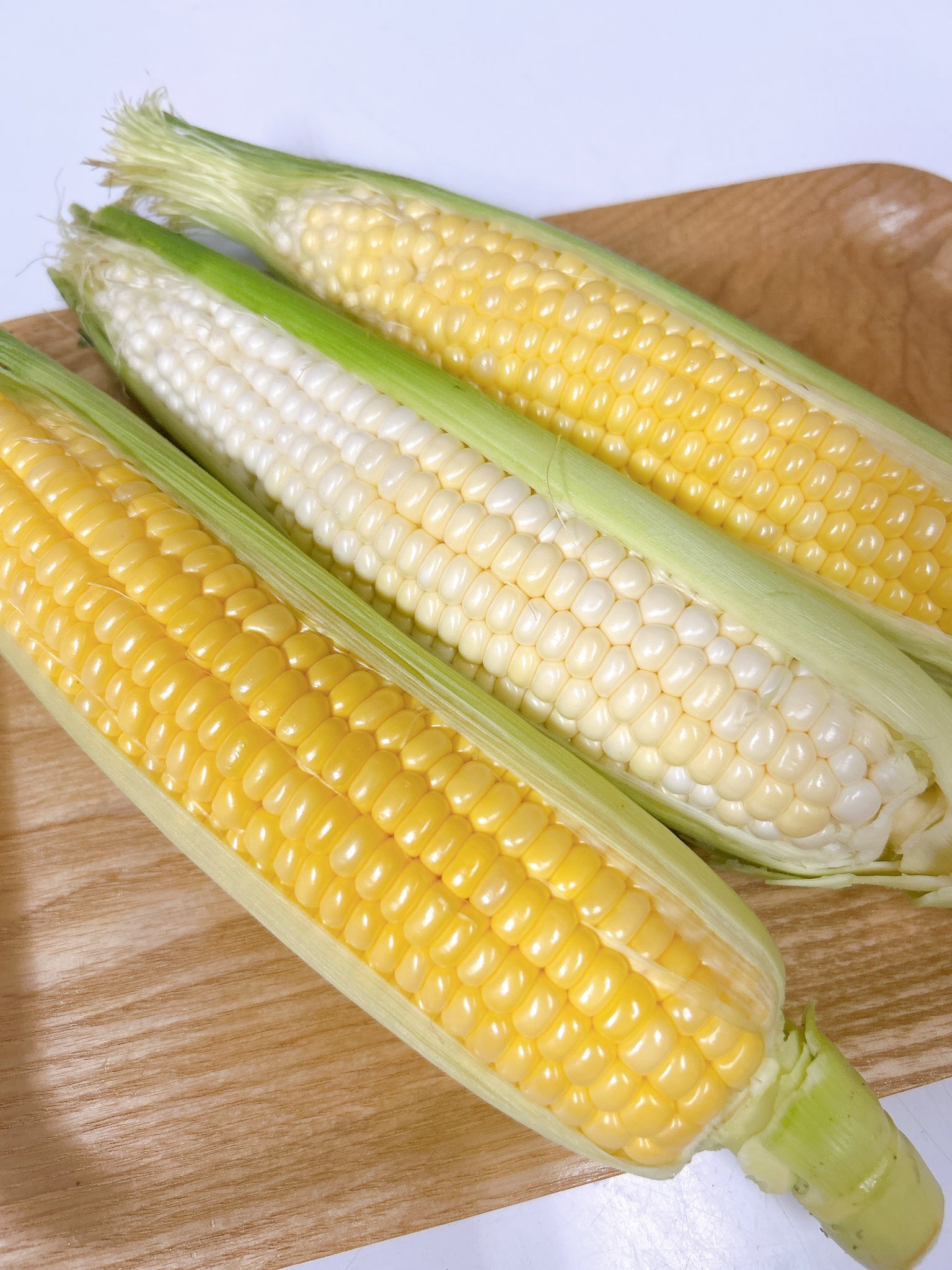 とうもろこし さきちゃん80[とうもろこし] - e-種や｜国内最大級の野菜種・花