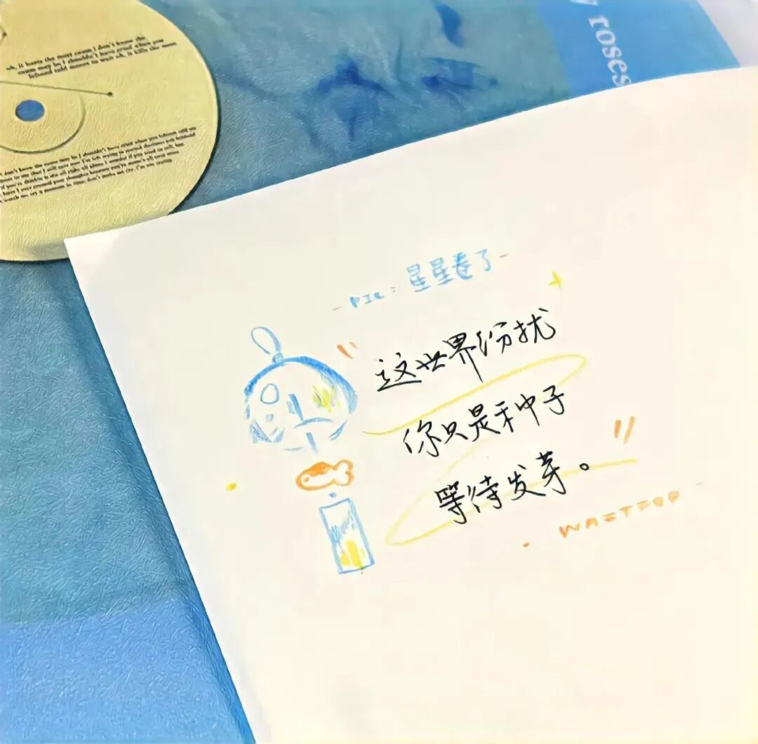 偶尔治愈🍰ˎˊ 💦