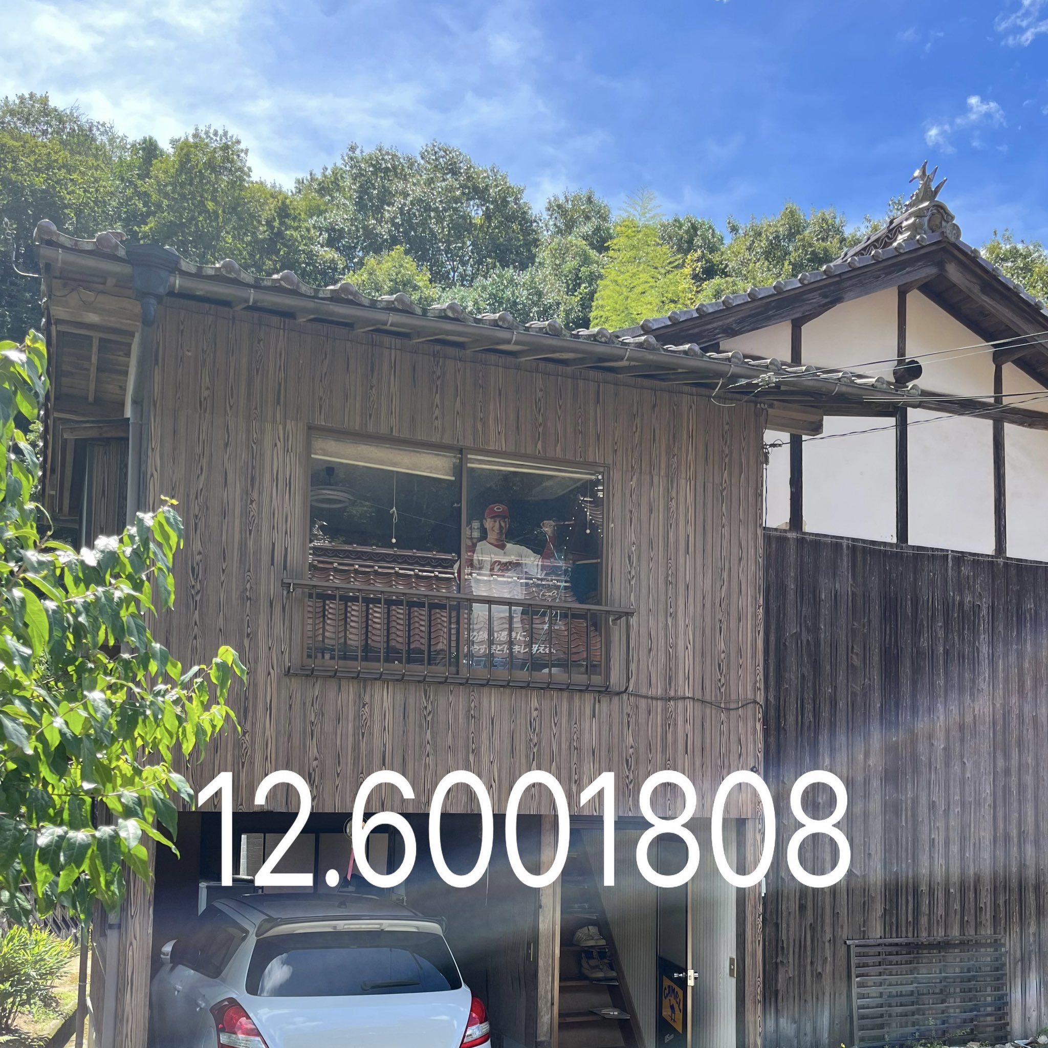 メル55507です。藤島部屋 2点 相撲部屋めぐり38 藤島部屋 ふじしまべや 武将山 藤青雲 富士の