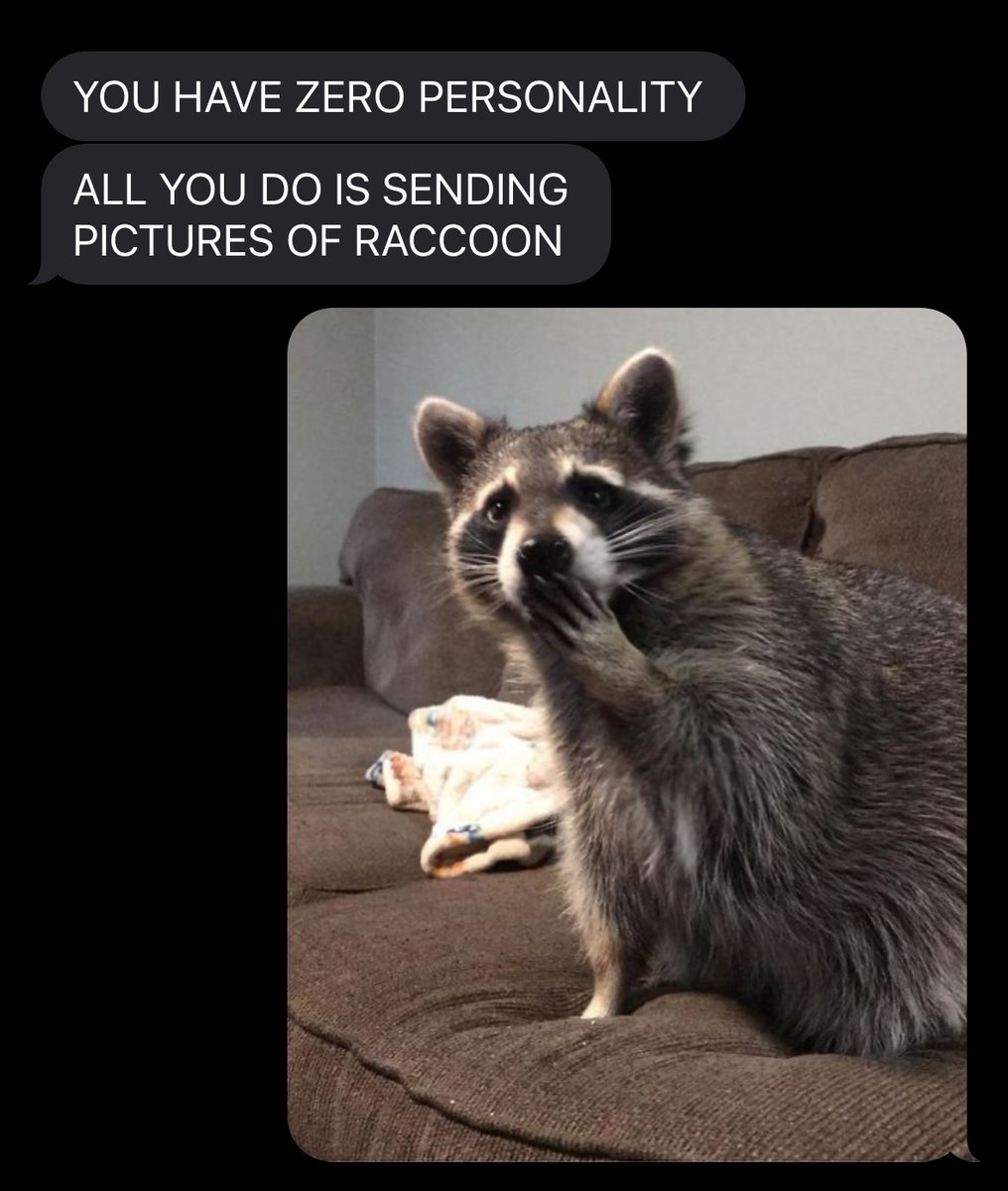 raccoon aesthetic. (@raccoonesthetic) on Twitter photo 