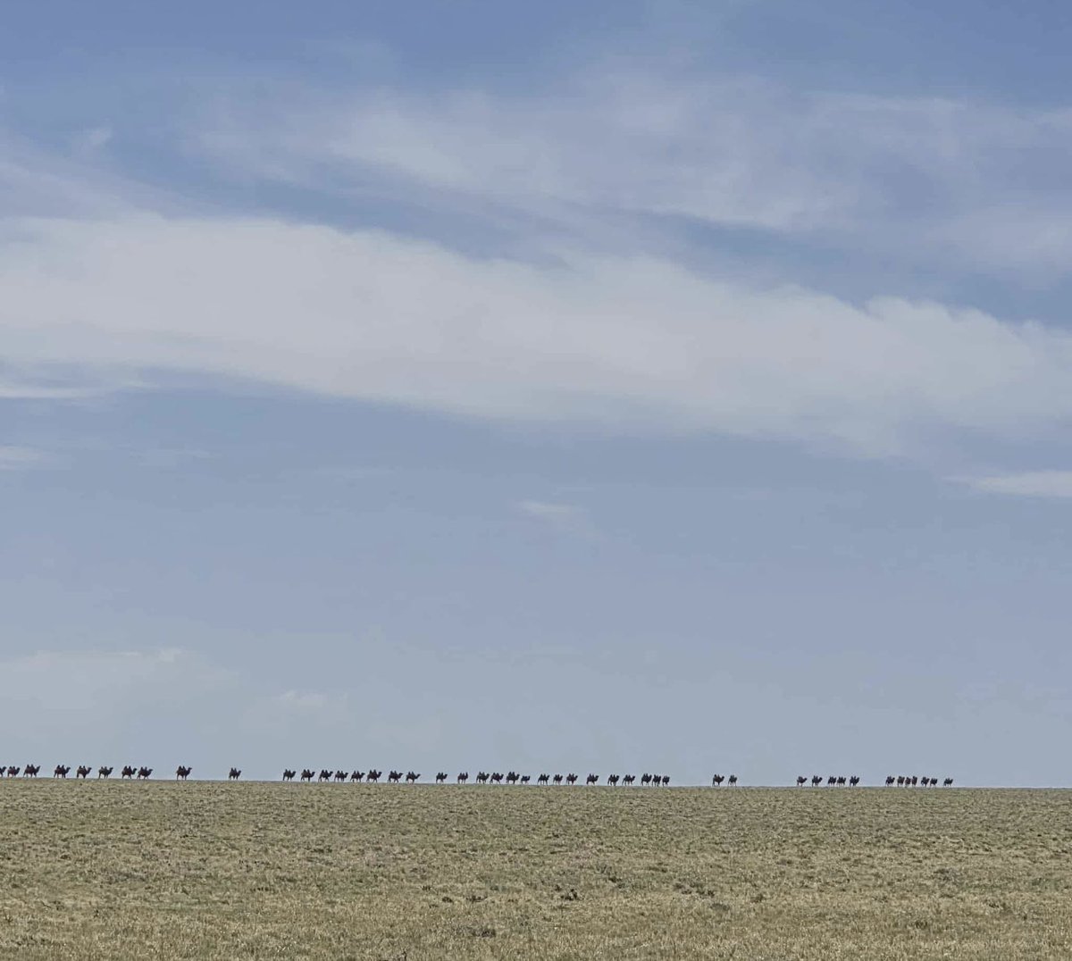 Өглөөний мэнд. Говийн минь амар амгалан