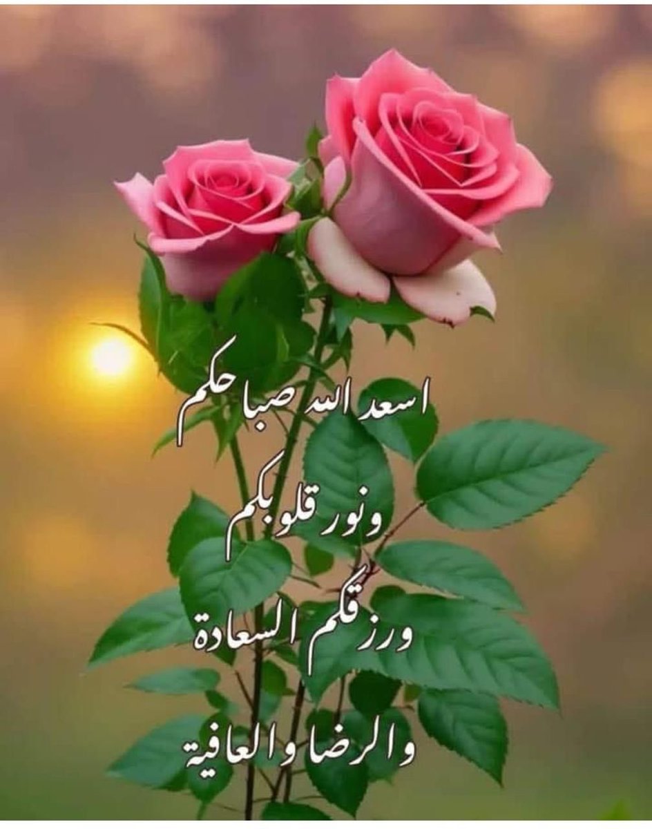 A666ngg's tweet photo. https://t.co/8y0q4TdRAZ