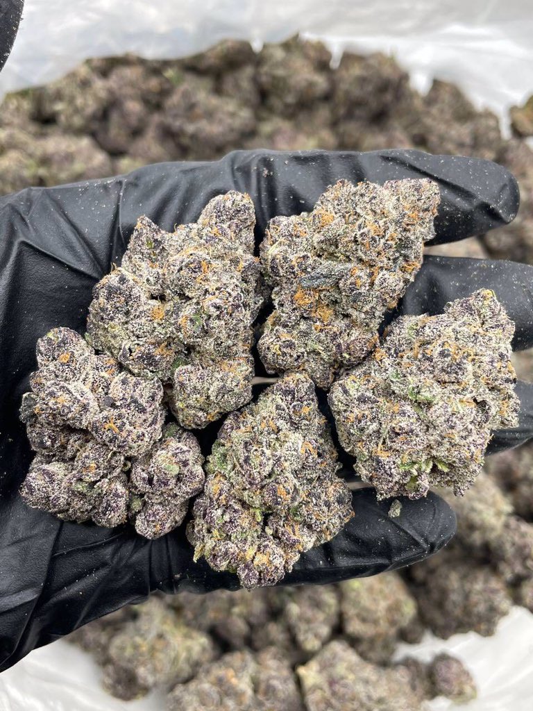 Cookies 🍪 🥵