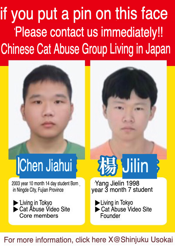 Presumably nmud (cat torturer w/ Xi book) and the Lovecat website administrator.... both currently living in #Tokyo? 🧐