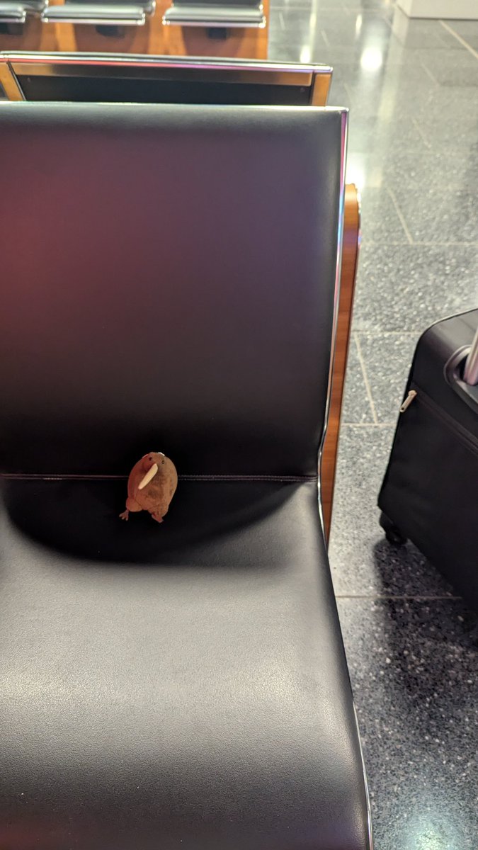 Kiwi 🥝 tweet media