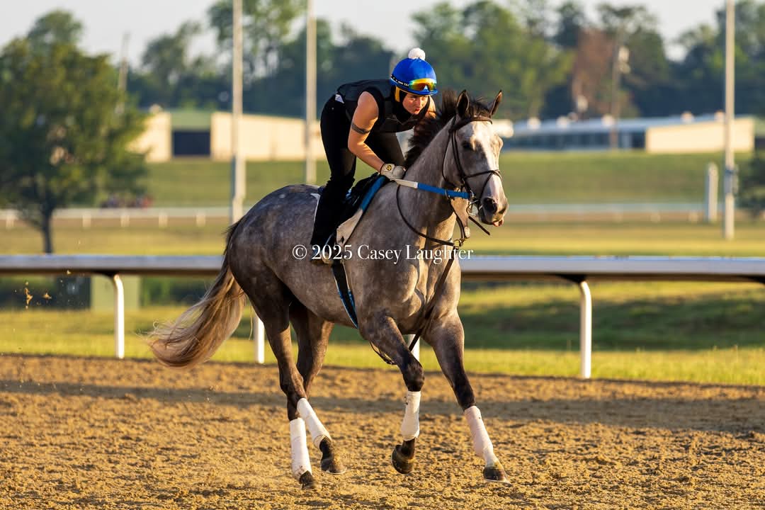 McKennaAndersonJockey (@jockeymckennaa) on Twitter photo 