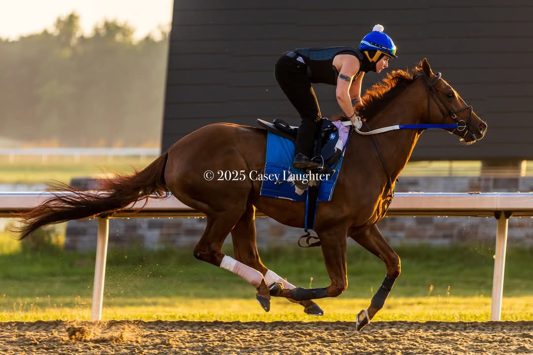 McKennaAndersonJockey (@jockeymckennaa) on Twitter photo 