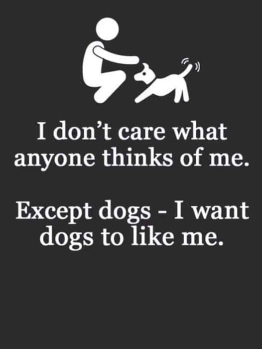 <a href="/Awesomevideos07/">Awesome Videos ❤️</a>