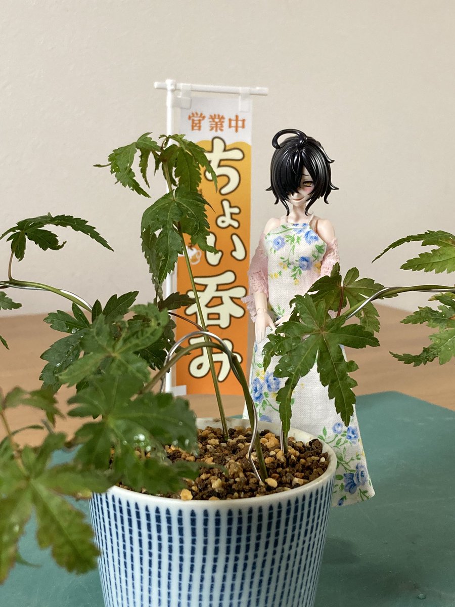 Backsideworks. アート鉢 植物連鎖 金銀セット 魂根少女 Backside works アート鉢 植物連鎖 金銀セット 魂根少女 Backside