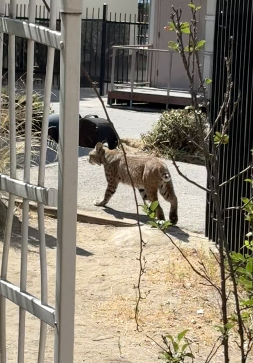 John Maynard tweet media