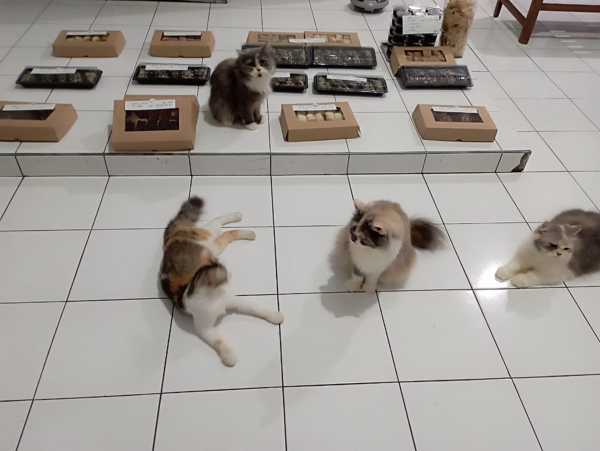 DapurMocca (ORDER BY WHATSAPP) tweet media