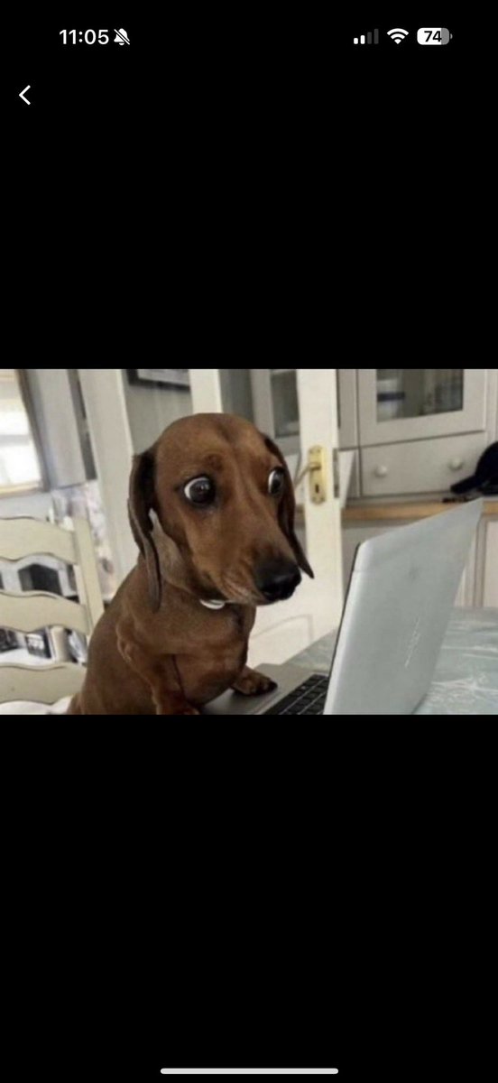 Drew. R.T. (CI)🫀🩻 tweet media