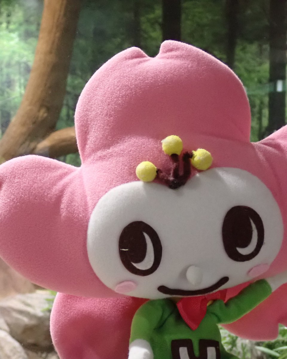 ビンテージ ガンド社 ペタンコ パンダ This mysterious Chinese alloy toy is cute but costs an