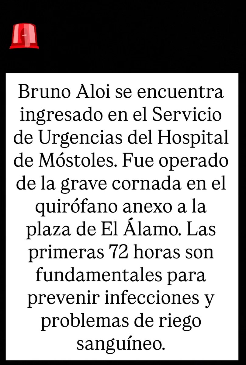 Bruno Aloi (@brunoaloi_) on Twitter photo 