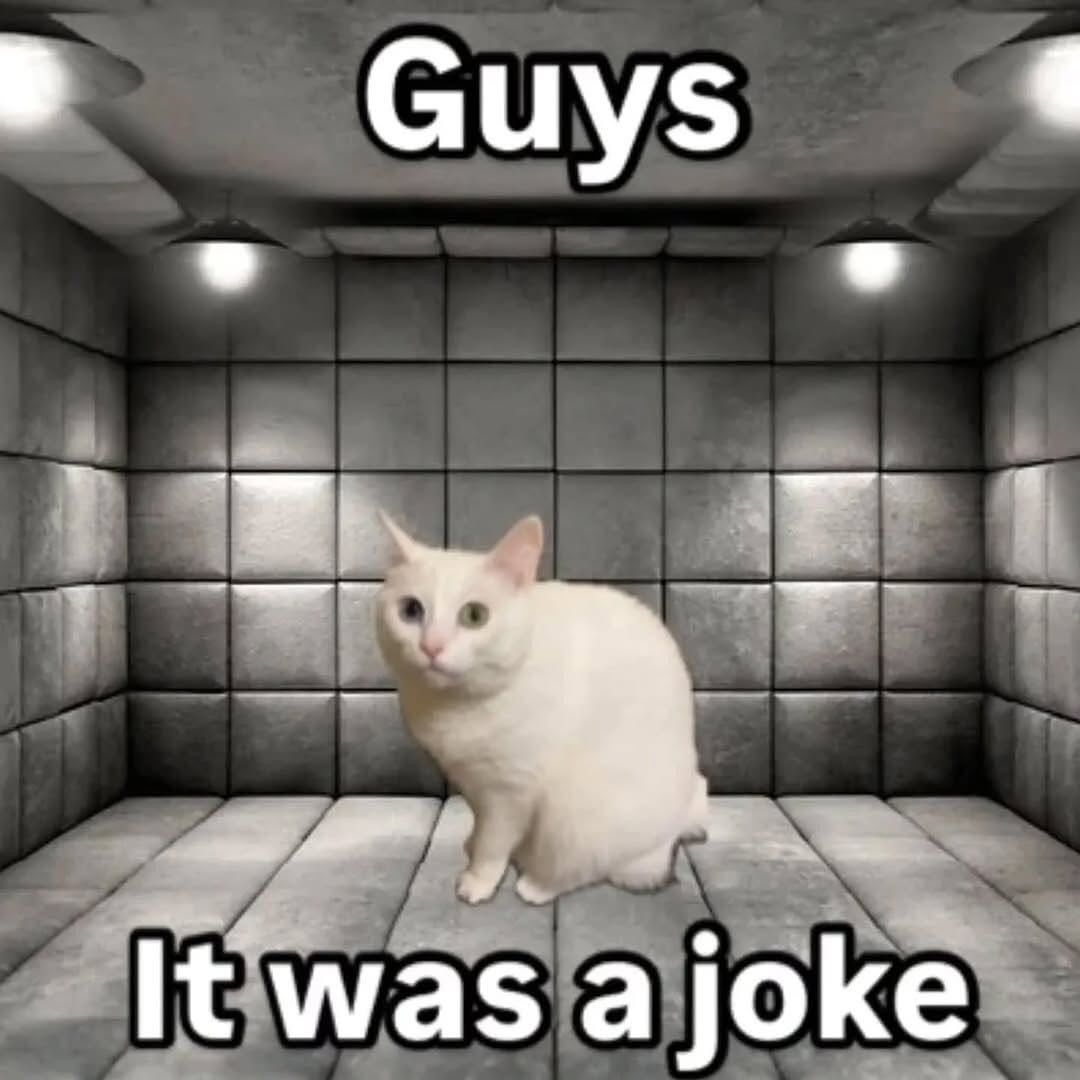 Shoota (@shootacat) on Twitter photo 