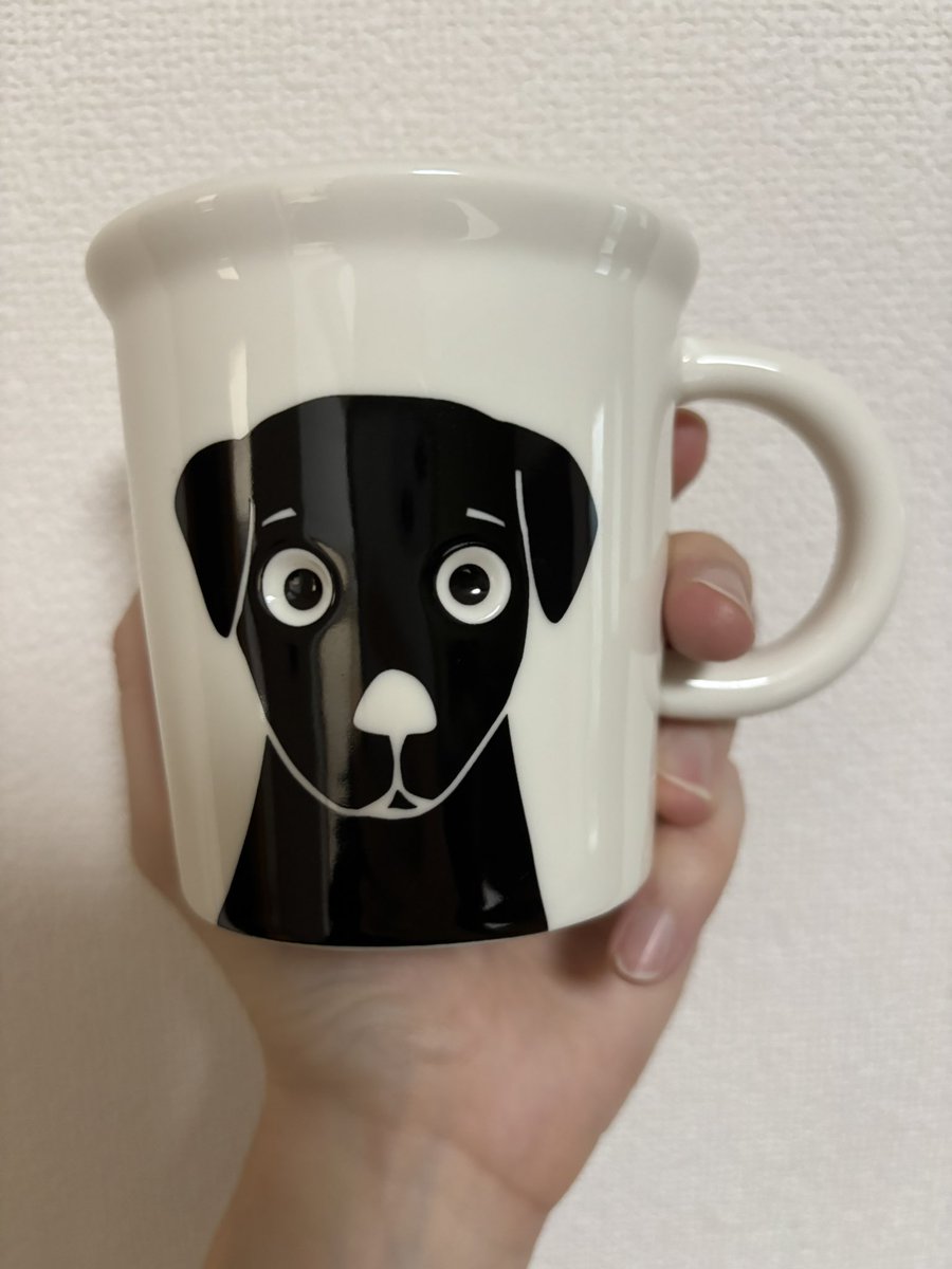 買わずにはいられなかった