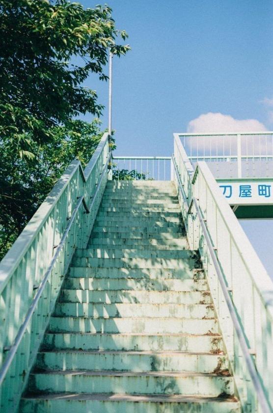 🗣️
あっという間だったね！
🐅 🐈‍