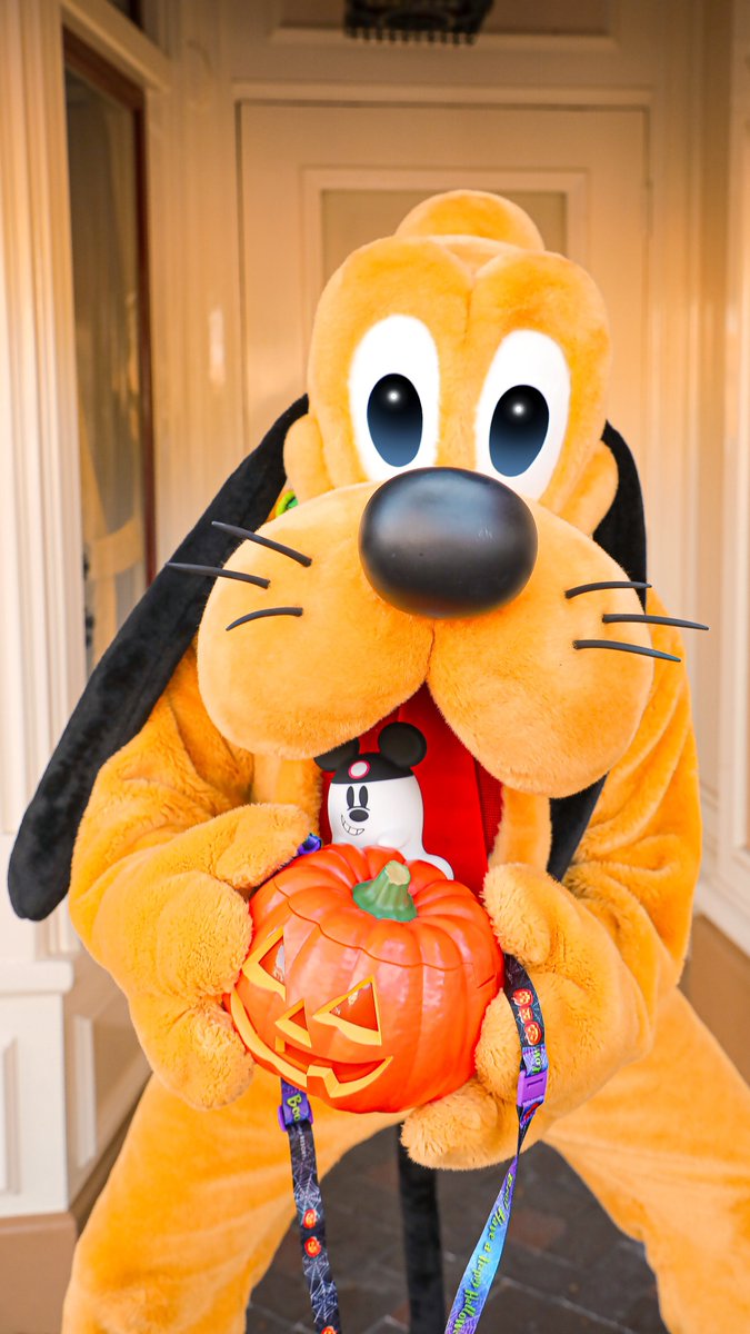 9月5日はプルートのお誕生日🎂