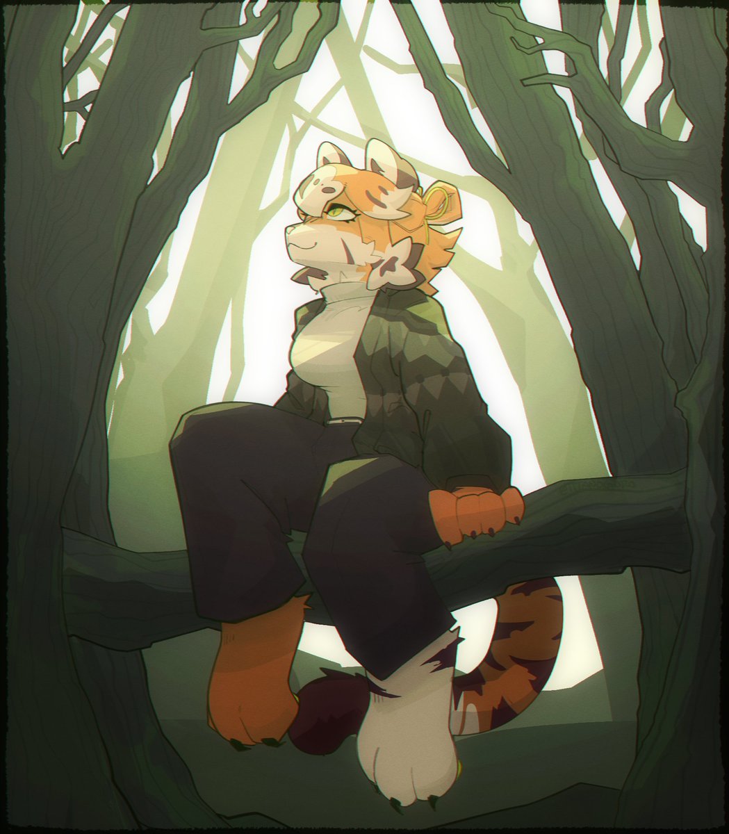 thru the woods