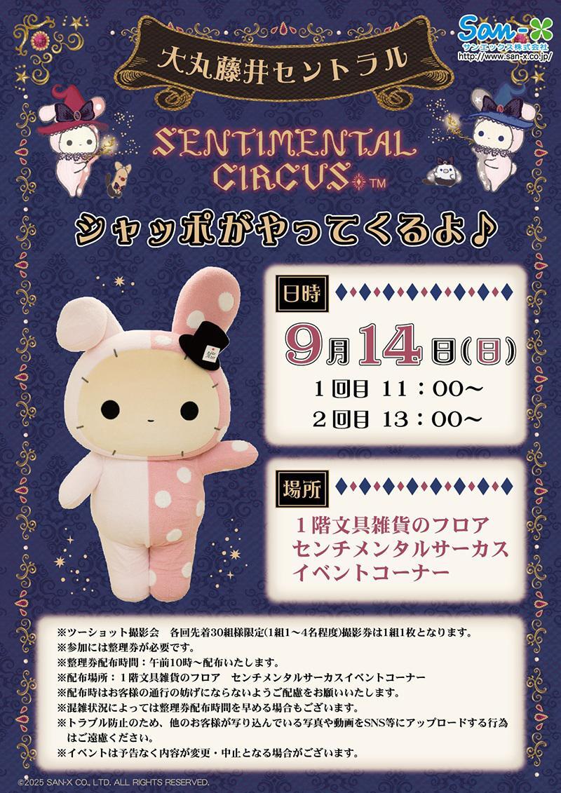 センチメンタルサーカス ミニチュアティーセット 【公式通販】