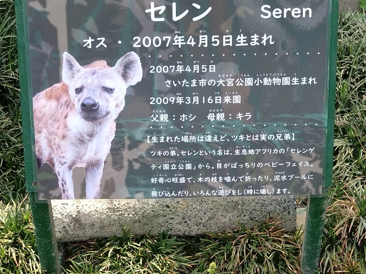 改めてホシ&amp;キラさんの偉大さを感じました
#日本平動物園 
#大宮小動物園 
#大宮公園