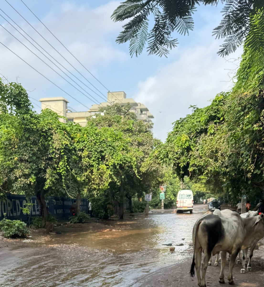 hivikumar's tweet photo. @MunCorpGurugram @CPCB_OFFICIAL @DC_Gurugram @narendramodi @MoRD_GoI @MukeshSharmaGG @OfficialGMDA @HsvpHaryana @BJP4Haryana @moefcc @diprogurugram1 @CAQM_Official This is the current condition of this road https://t.co/wwF7AnTBtO