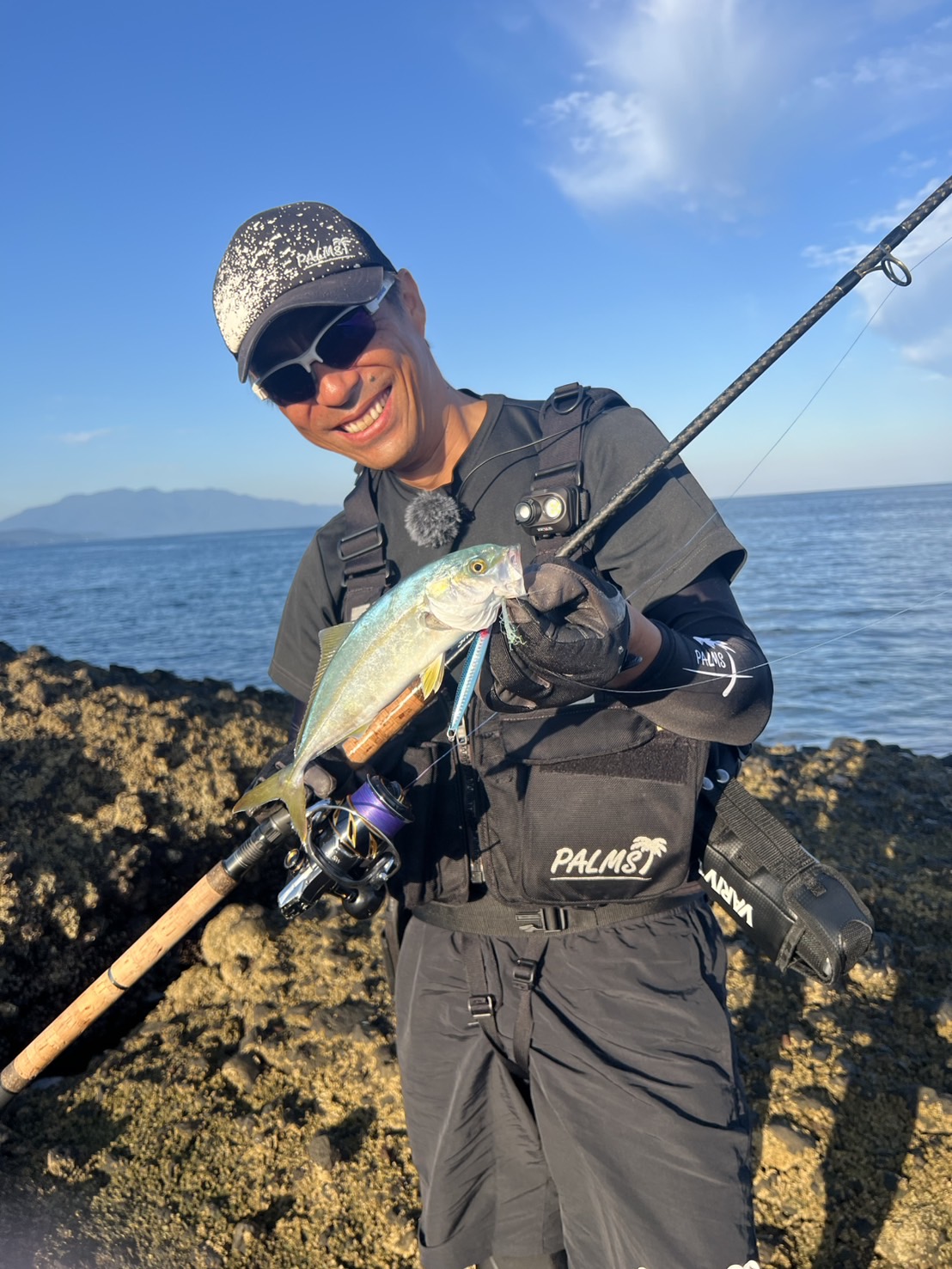 あおいページ soruiページ ZX